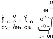 尿苷-5'-三磷酸钠盐 CAS 1175-34-4 结构式